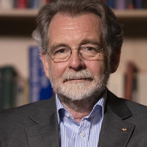 Hugh White (Emeritus Professor of Strategic Studies at ANU)