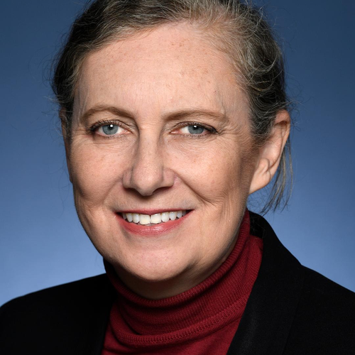 Margaret Twomey (Former High Commissioner of Australia to Fiji; Former Australian Ambassador to Russia, Ukraine, Italy and East Timor;  Former Assistant Director-General, Office of National Intelligence, Former Head of Policy Planning, DFAT)